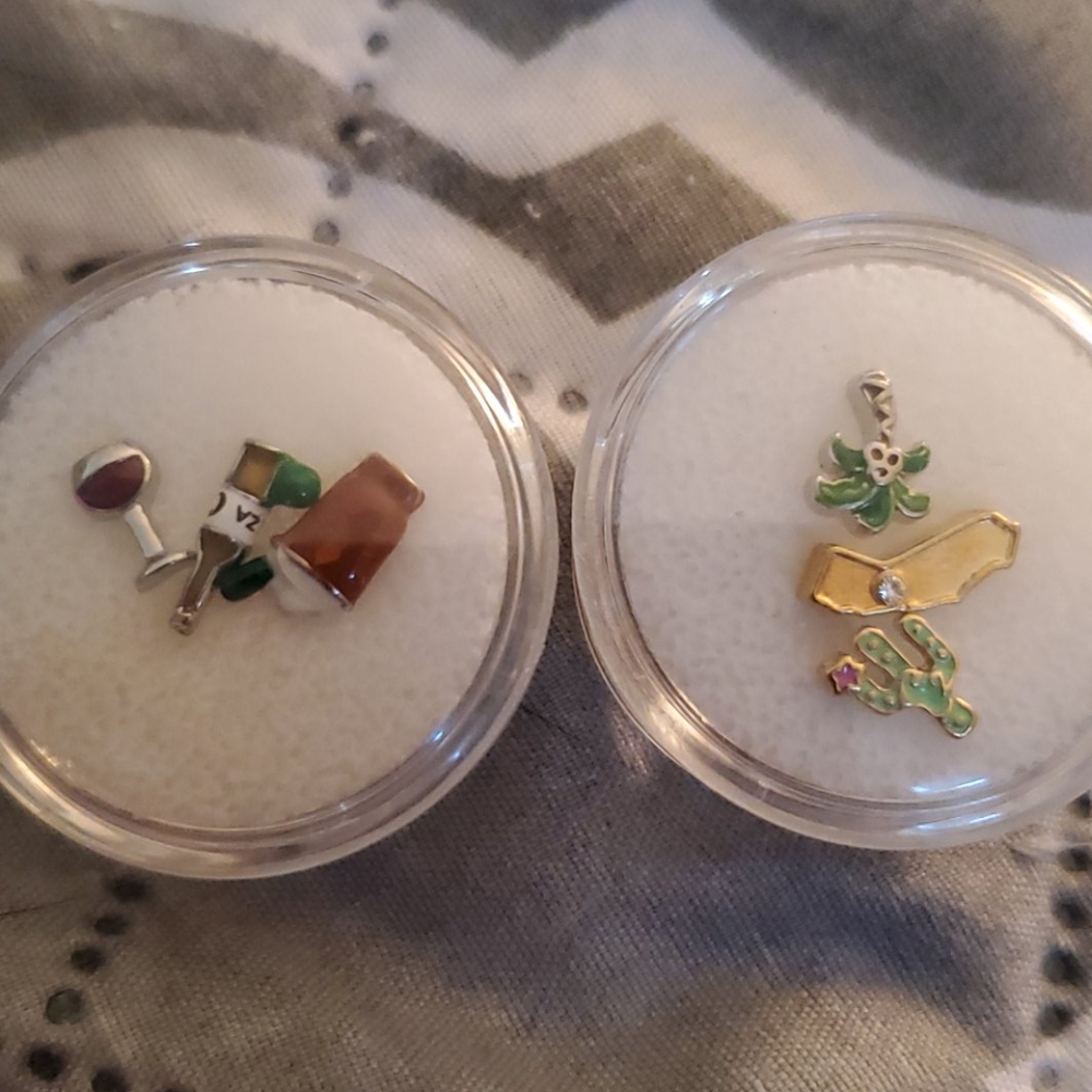 Assorted charms